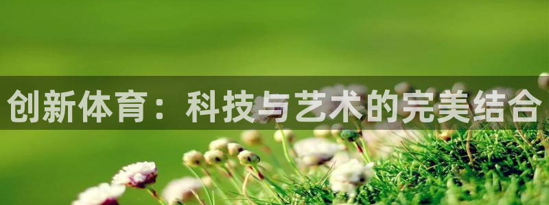 MK体育官网下载官方客服电话：创新体育：科技与艺术的