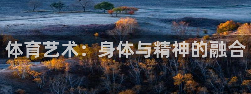 MK体育官方正版app娱乐代理怎么样：体育艺术：身体