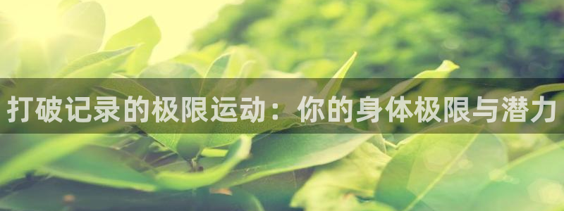 MK体育官方正版app集团官网首页网址：打破记录的极