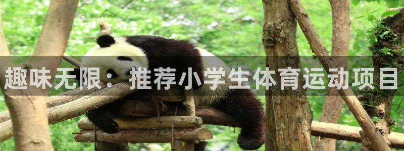MK体育官网下载招商电话地址查询：趣味无限：推荐小学