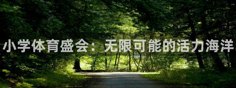 MK体育官方正版app集团E.ON：小学体育盛会：无