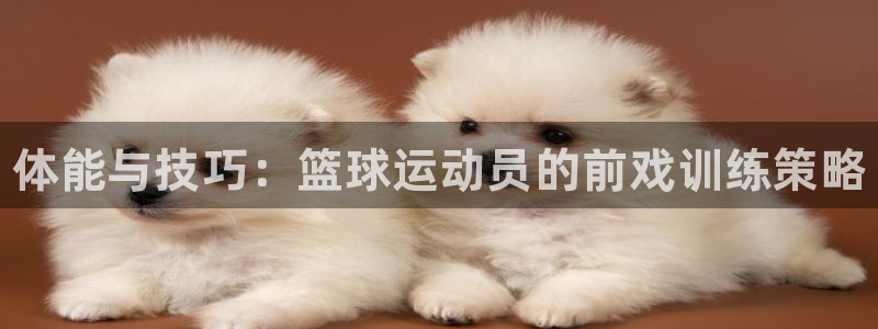 MK体育官网下载官方客服电话：体能与技巧：篮球运动员