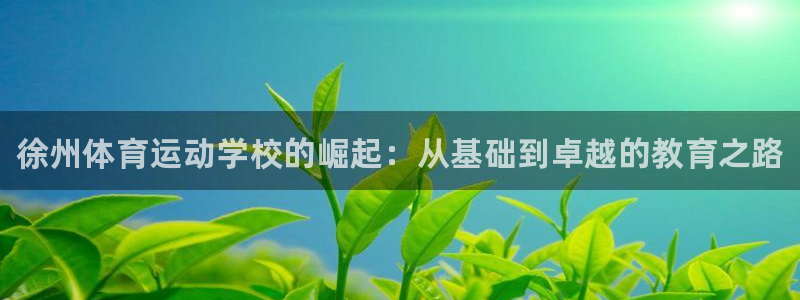 MK体育官网下载平台假的吗是真的吗：徐州体育运动学校