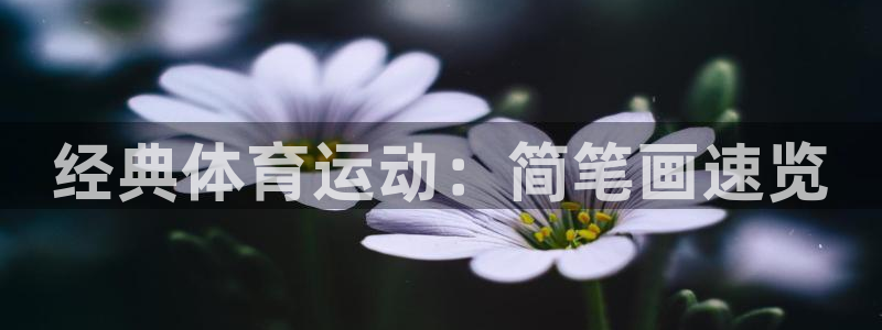 MK体育官网下载平台注册流程视频：经典体育运动：简笔