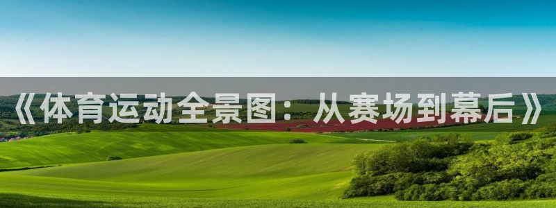 MK体育官方正版app娱乐网站：《体育运动全景图：从