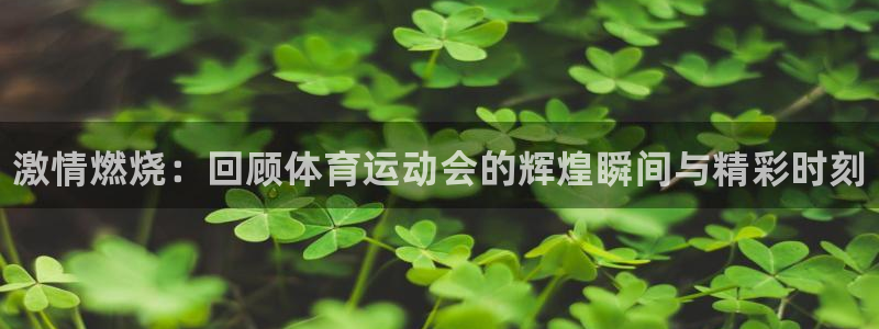 MK体育官网下载平台：激情燃烧：回顾体育运动会的辉煌