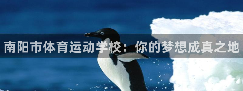 MK体育官方正版app集团官网首页：南阳市体育运动学