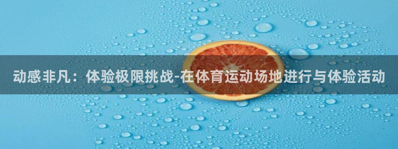 MK体育官网下载平台APP：动感非凡：体验极限挑战-