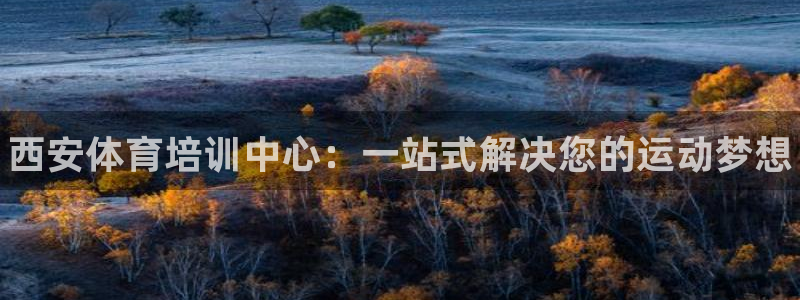 德国MK体育官方正版app集团：西安体育培训中心：一站式解决