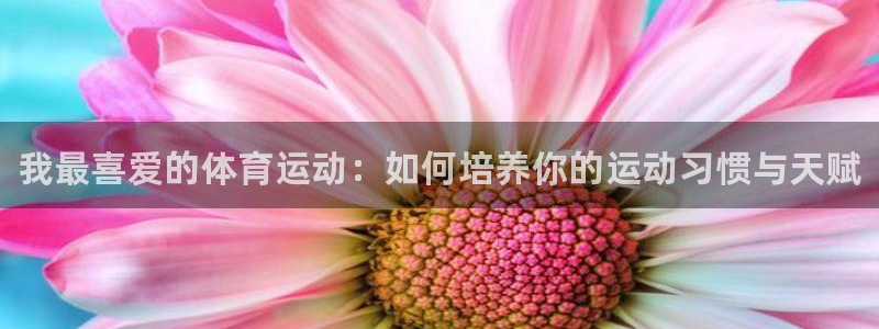 MK体育官方正版app集团：我最喜爱的体育运动：如何培养你的