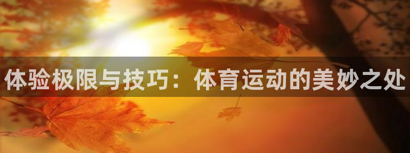 MK体育官网下载联系电话：体验极限与技巧：体育运动的美妙之处