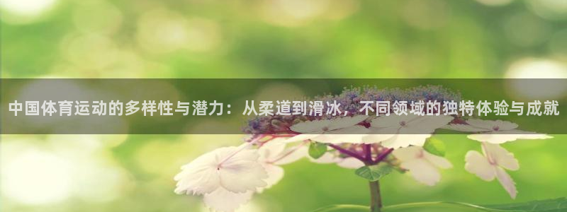 MK体育官方正版app娱乐网站