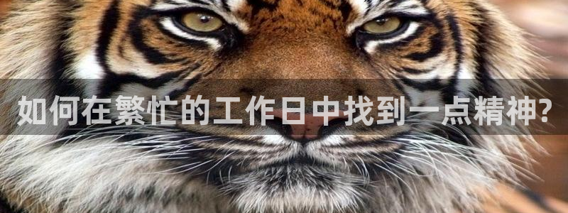 MK体育官网下载平台注册流程视频：如何在繁忙的工作日中找到一