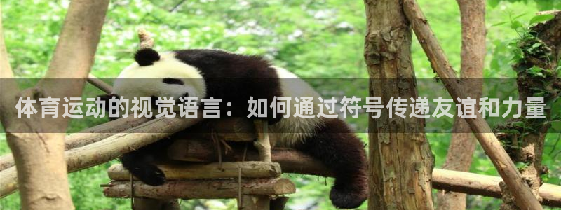 MK体育官网下载平台是正规平台吗安全吗：体育运动的视