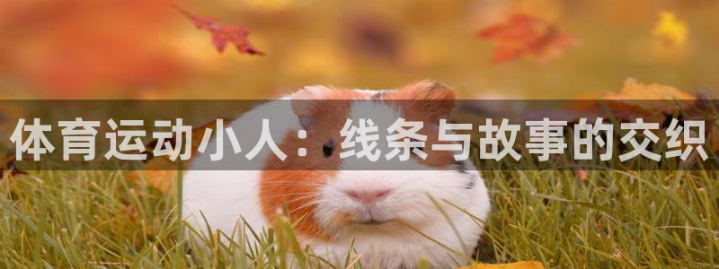 MK体育官方正版app代理：体育运动小人：线条与故事