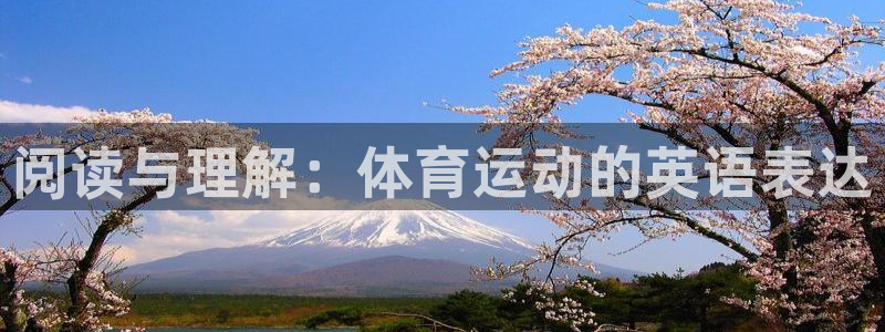 德国MK体育官方正版app集团：阅读与理解：体育运动